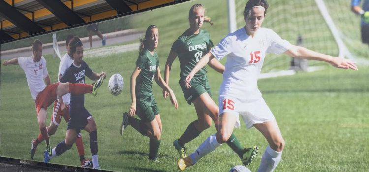 Digital Triton Multi use