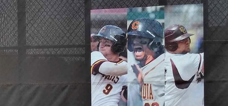 basball_screen-concordia4ee-1ee (2)